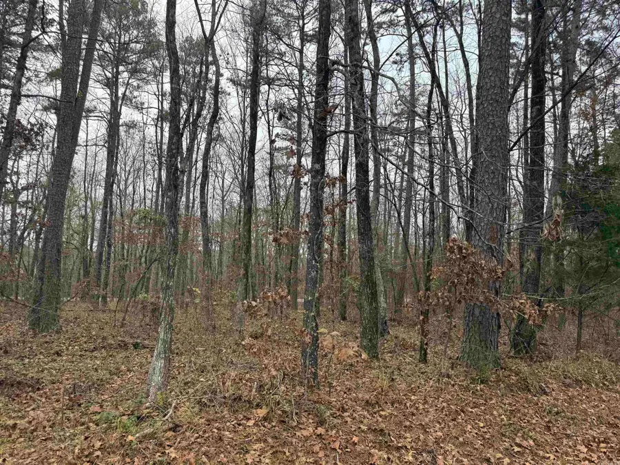 53 Estrella Way, Hot Springs Village, AR 71909 - Image #3