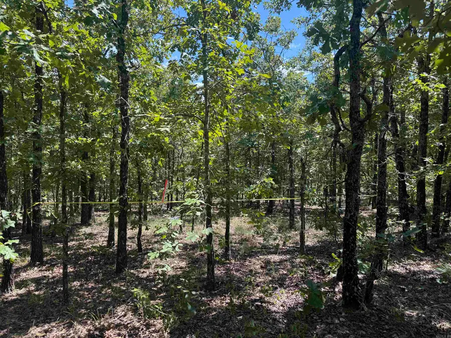 Lot 4 7 Lakes Ranch Blvd. Boulevard, Conway, AR 72032 - Image #2