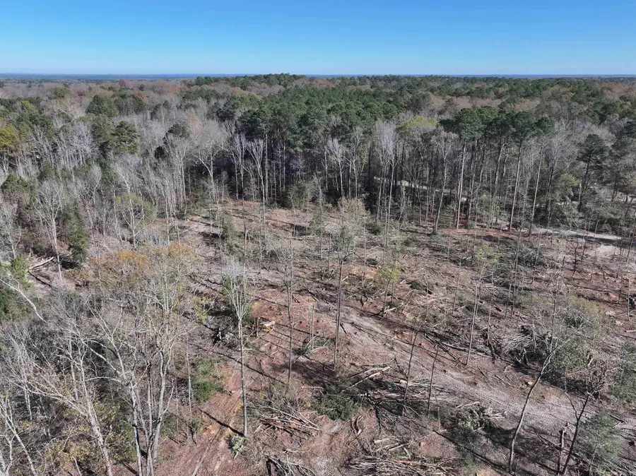 XXX Kaitlyn Lane, Malvern, AR 72104 - Image #3