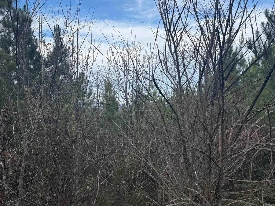 Address Withheld By Seller, Mena, AR 71953 - Image #2