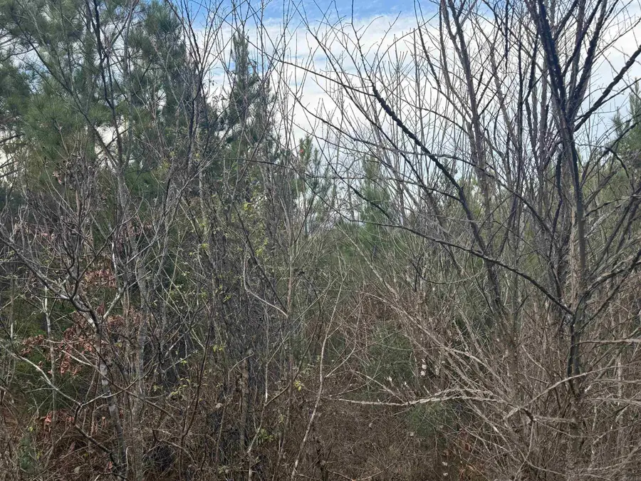 Address Withheld By Seller, Mena, AR 71953 - Image #3