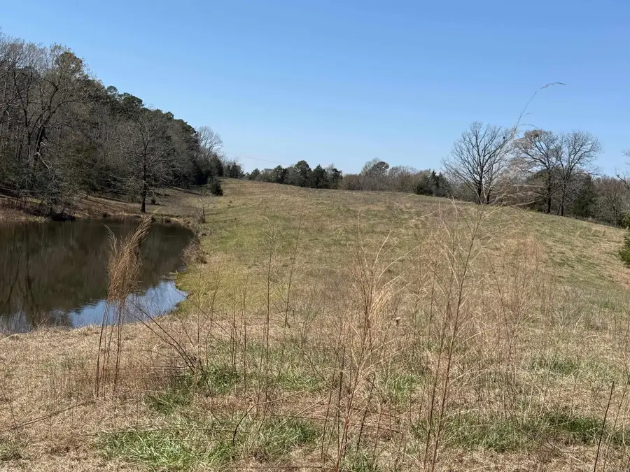 Address Withheld By Seller, Hatfield, AR 71945 - #3