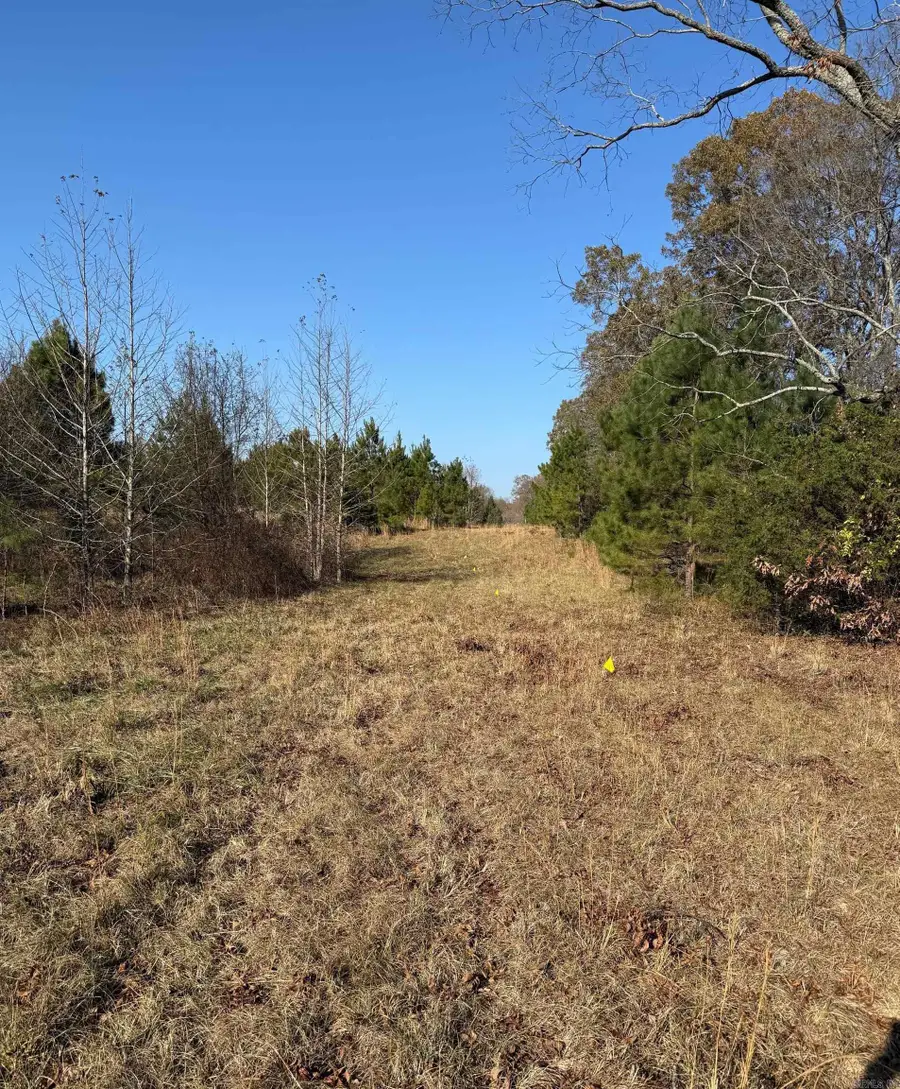 85 Orchard Rd, Greenbrier, AR 72058 - Image #3