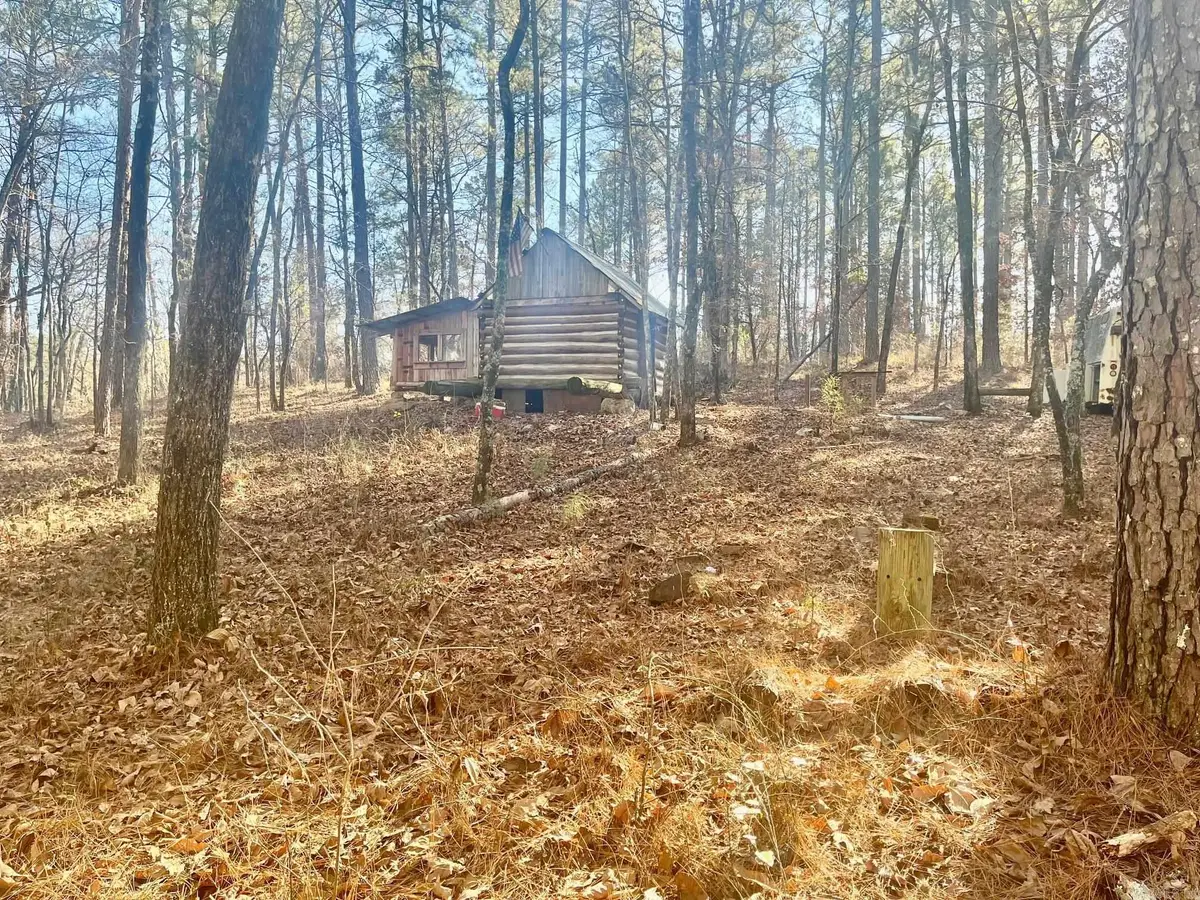 930 Cox Creek, Valley, AR 71921 - Image #1