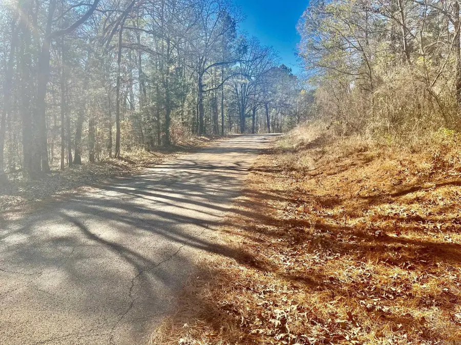 930 Cox Creek, Valley, AR 71921 - Image #3