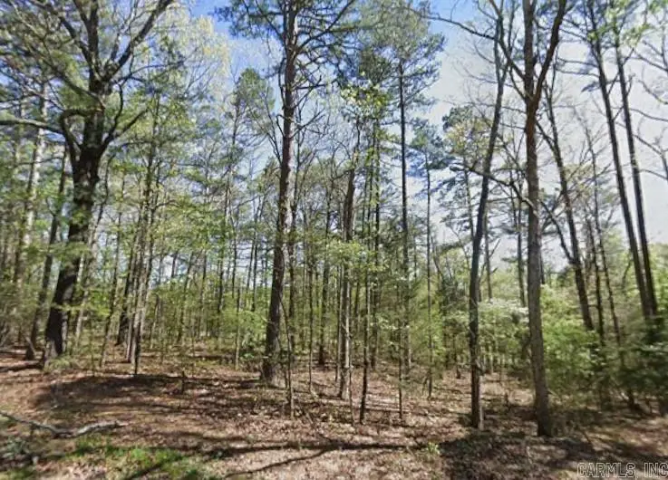 0 Castle Ridge Heights, Fairfield Bay, AR 72088 - Image #3