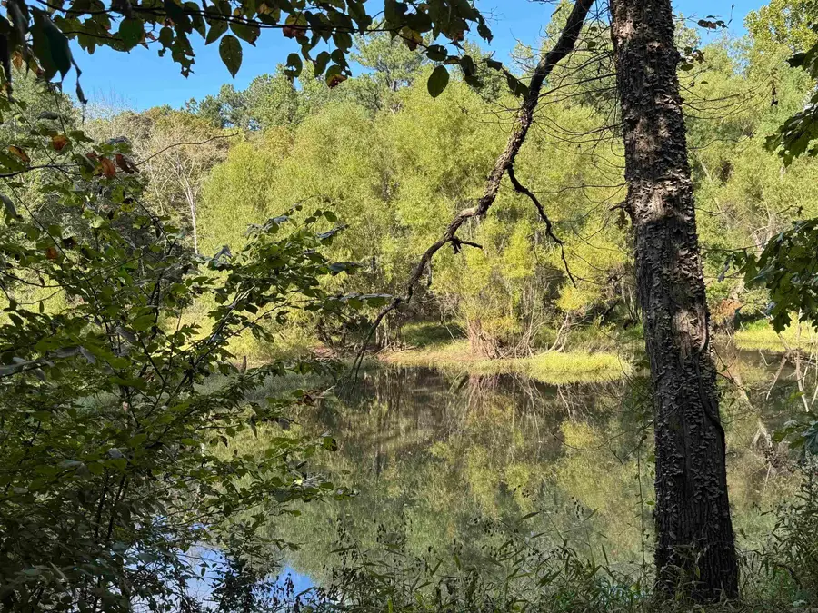 Address Withheld By Seller, De Roche, AR 72104 - Image #3