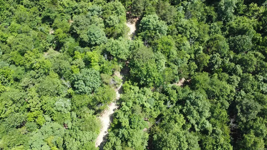 246 Burgess, Bonnerdale, AR 71933 - Image #2