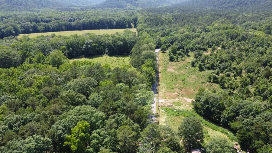 246 Burgess, Bonnerdale, AR 71933 - Image #3