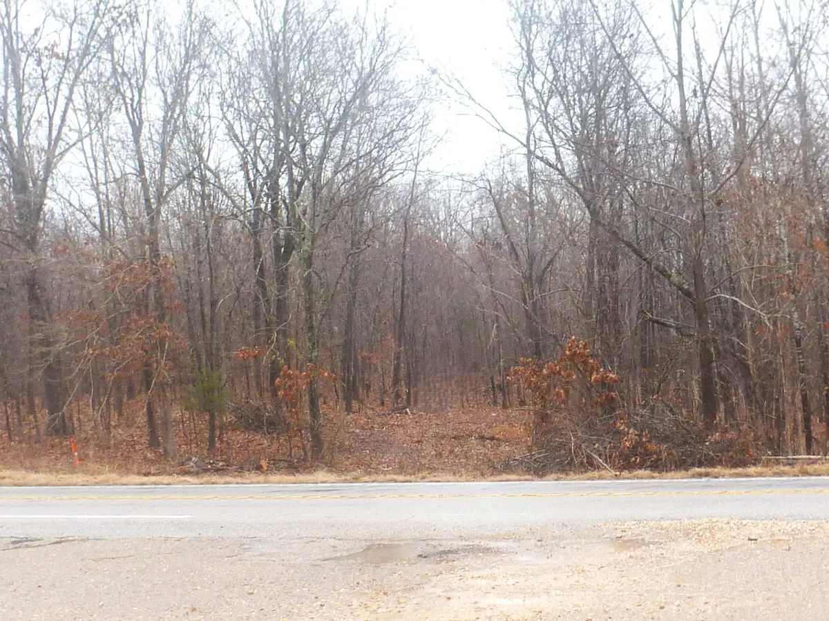 TBD N Hwy 63, Hardy, AR 72542 - Image #1