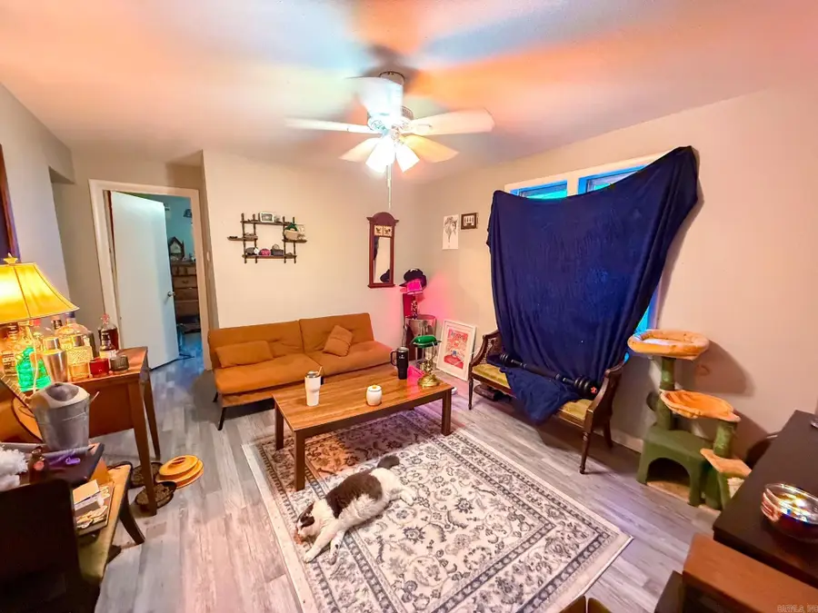 287 Patton Street, Clinton, AR 72031 - Image #2