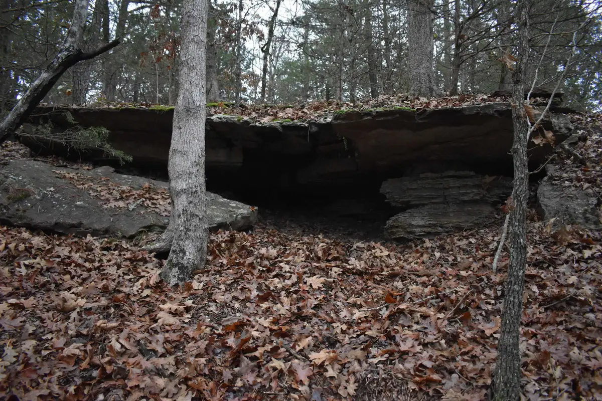 Address Withheld By Seller, Scranton, AR 72863 - Image #1