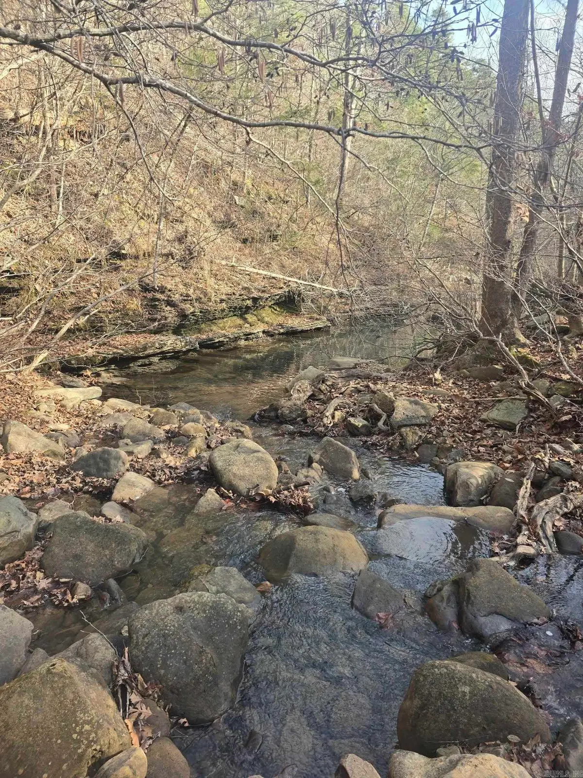 2433 Fayette Rd, Clinton, AR 72031 - Image #1