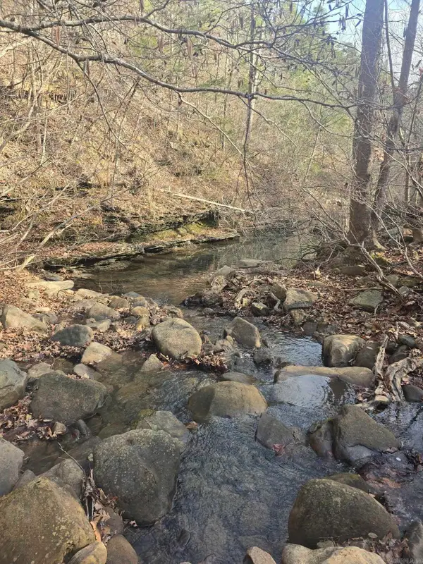 2433 Fayette Rd, Clinton, AR 72031