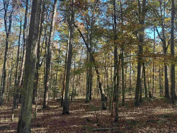 Address Withheld By Seller, Bauxite, AR 72011