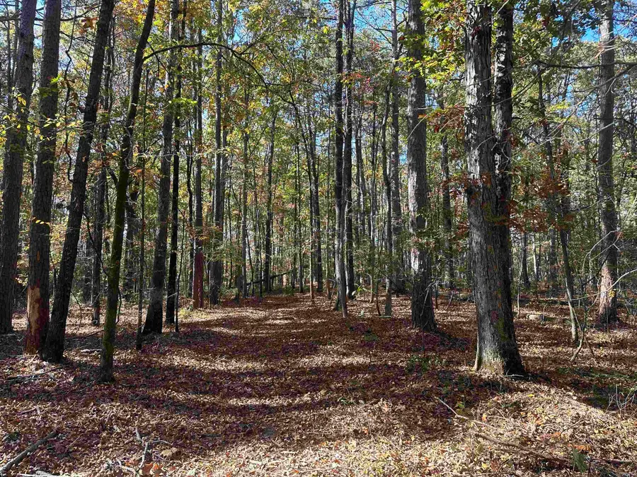 Address Withheld By Seller, Bauxite, AR 72011 - Image #2