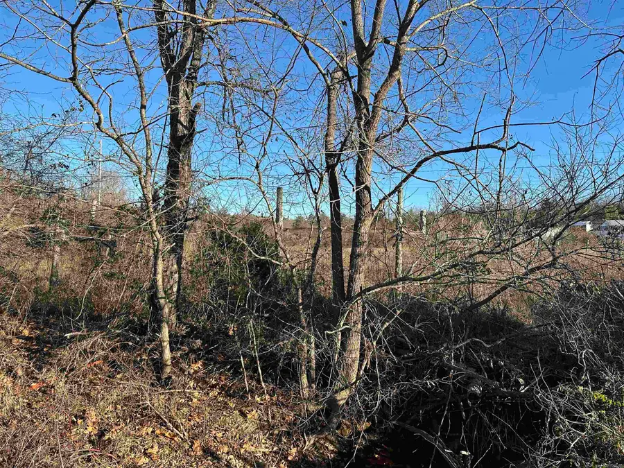 1739 Cr 54, Mountain Home, AR 72653 - Image #3