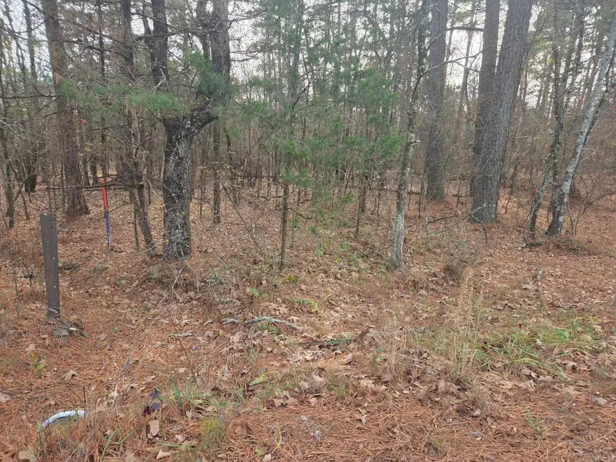 14 acres off Verkler Lane, Searcy, AR 72143 - Image #3