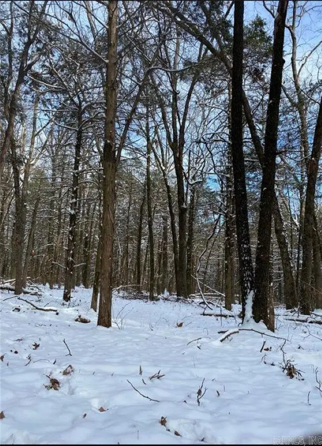 6327 Crow Mountain Rd, Russellville, AR 72802 - Image #1