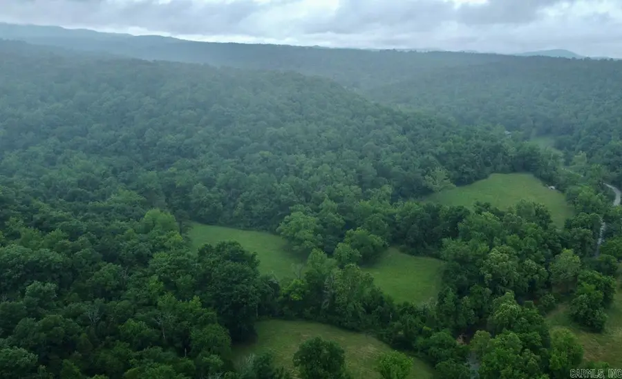 1245 Cr 124, Calico Rock, AR 72519 - #2