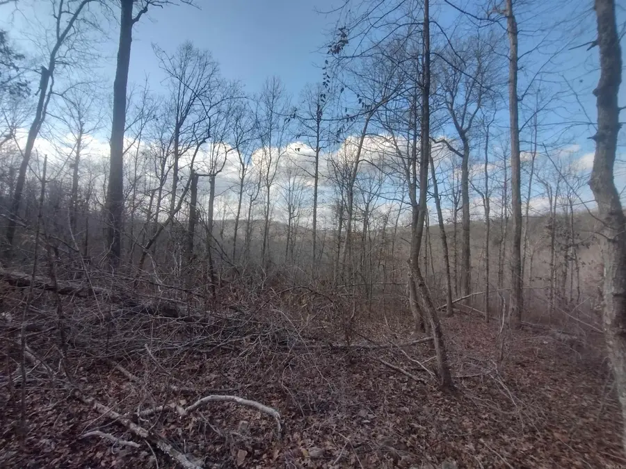 140 Brushy Creek Rd, Mountain View, AR 72560 - Image #2