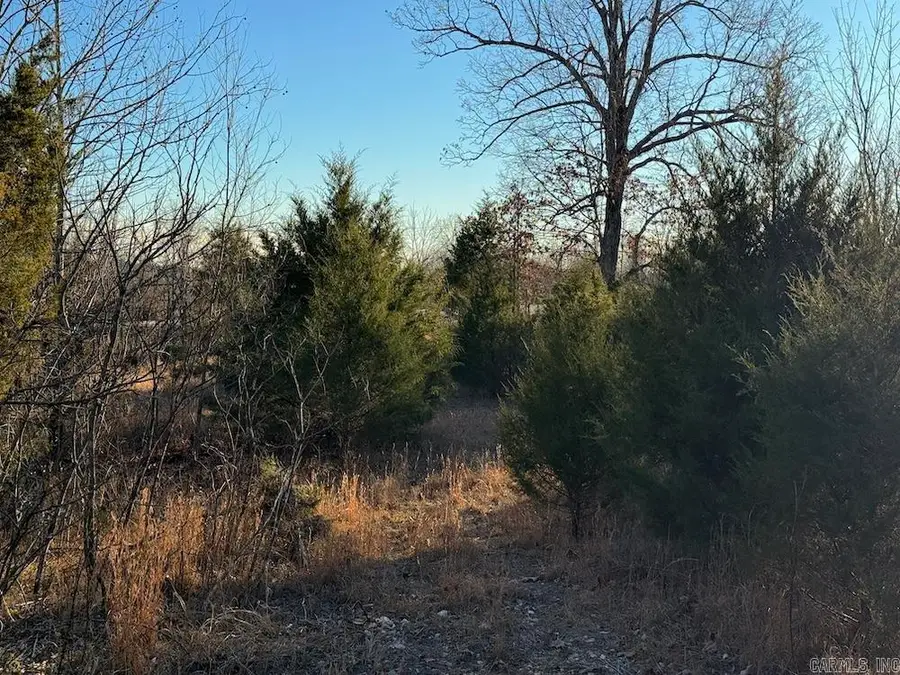 Hwy 62/36, Williford, AR 72482 - Image #2