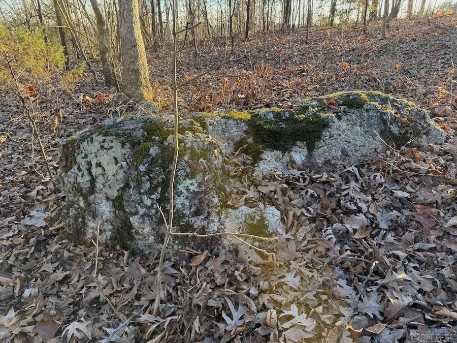 Hwy 62/36, Williford, AR 72482 - Image #3