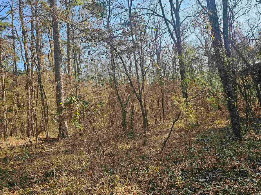 Unk Gilbert, Mena, AR 71953 - Image #2