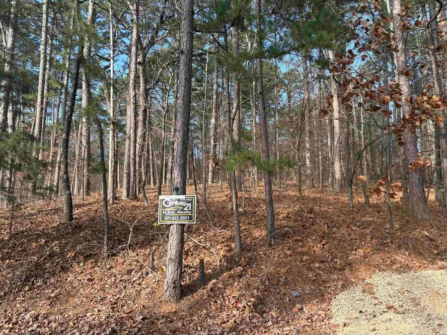 Address Withheld By Seller, Hot Springs Village, AR 71909 - Image #3