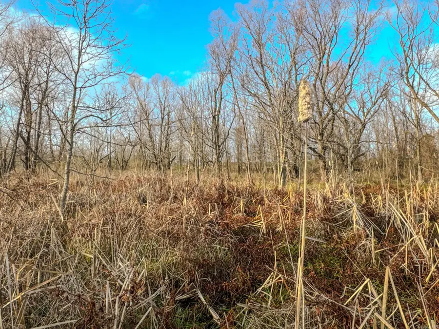 Address Withheld By Seller, Holly Grove, AR 72069 - Image #3