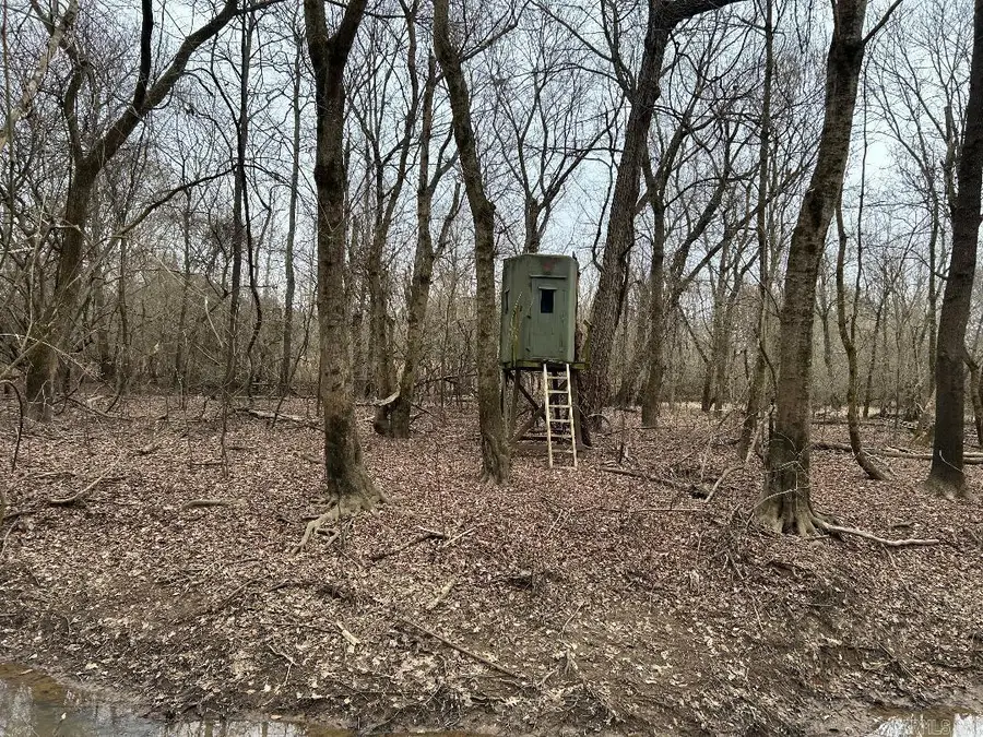 0 Phillips Rd 358, Poplar Grove, AR 72374 - Image #3