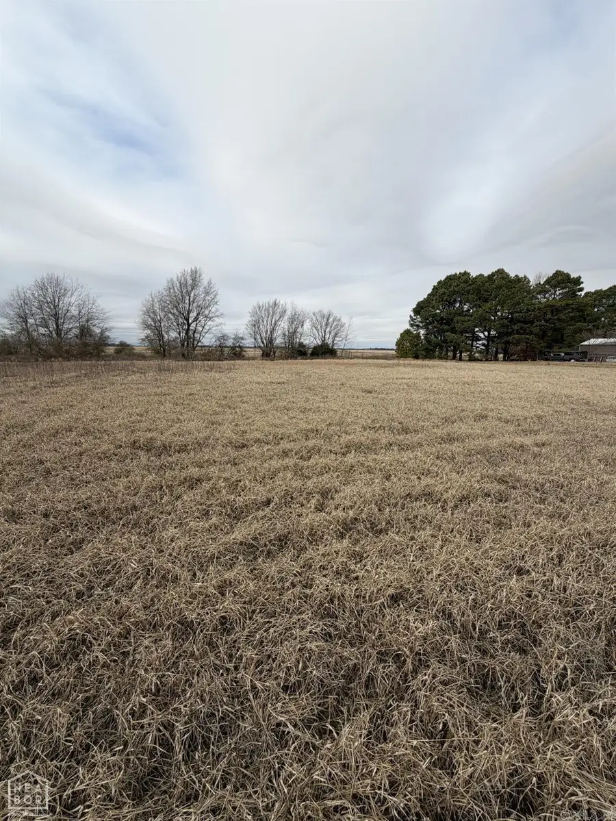 1 North Hwy 91, Walnut Ridge, AR 72476 - #2