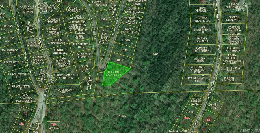Lot 21 Thunderbird Drive, Holiday Island, AR 72631 - Image #2