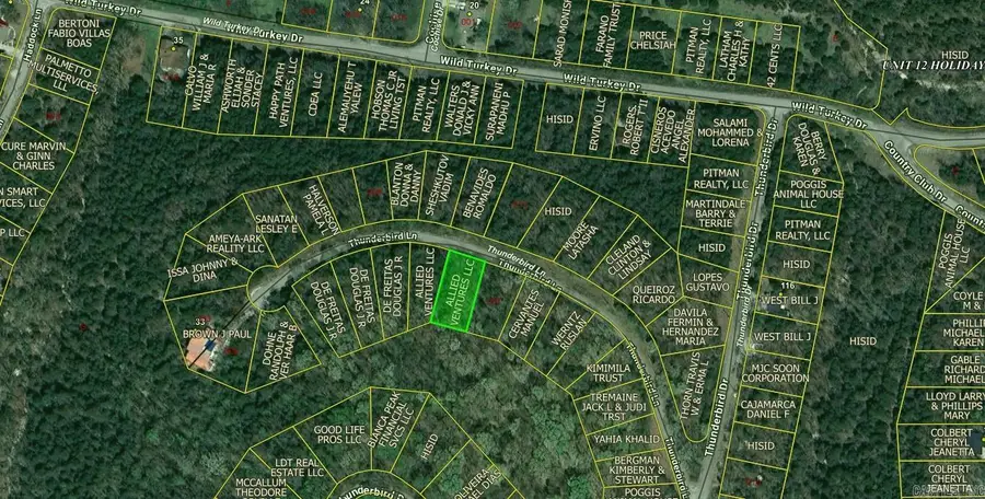 Lot 38 Thunderbird Lane, Holiday Island, AR 72631 - Image #2