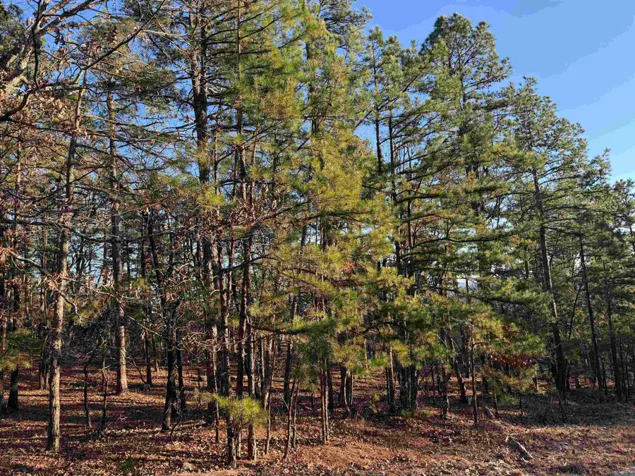 5 Vecilla Lane, Hot Springs Village, AR 71909 - #2