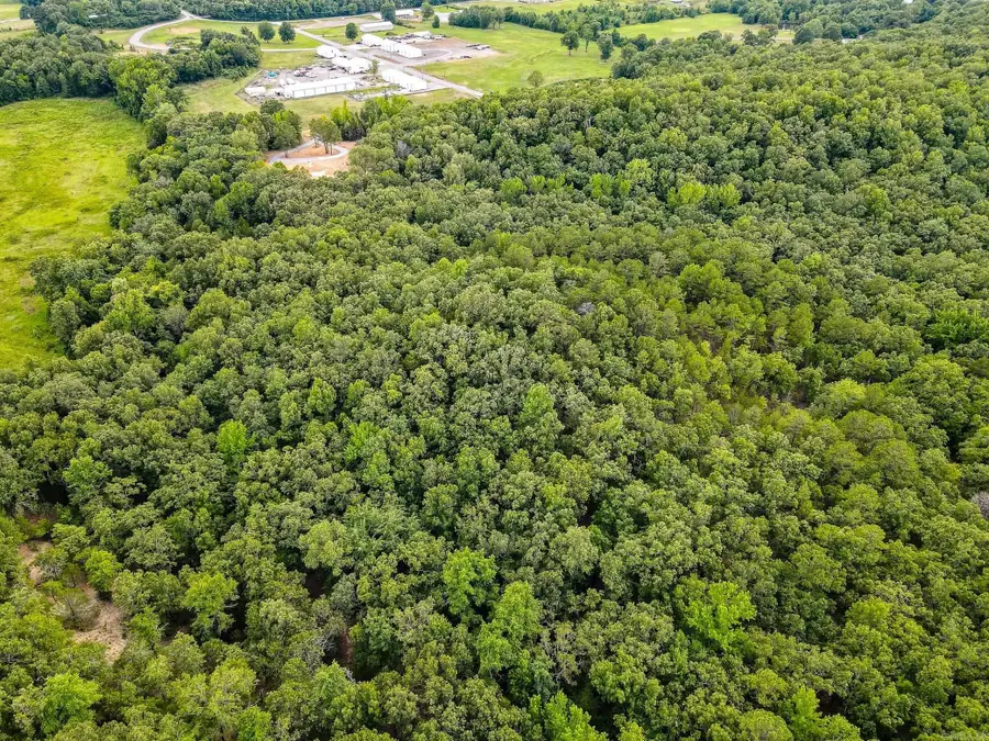 58 Phillip Place, Greenbrier, AR 72058 - Image #3