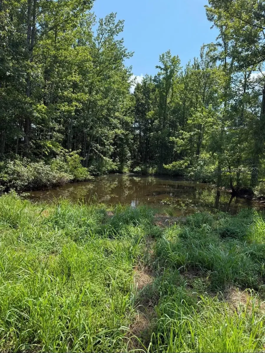 13.32 Greene 940 Road, Paragould, AR 72450 - Image #3