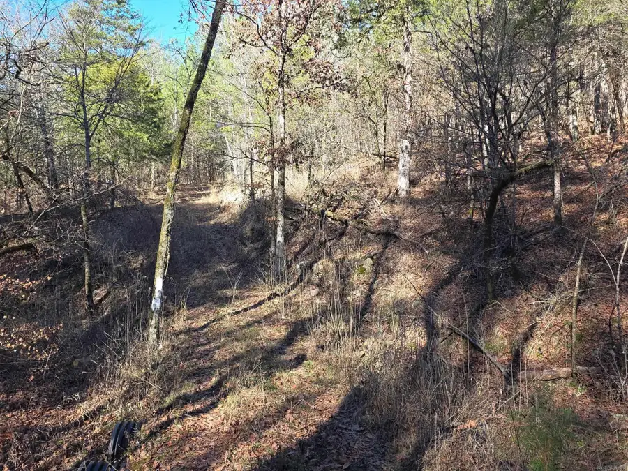 TBD To Be Named, Gillham, AR 71841 - Image #2