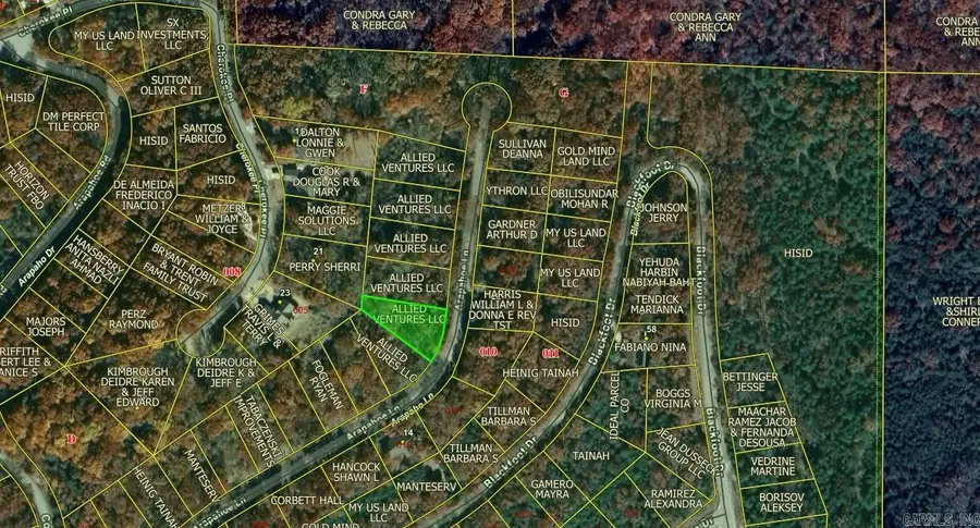 Lot 11 Arapahoe Drive, Holiday Island, AR 72631 - Image #2