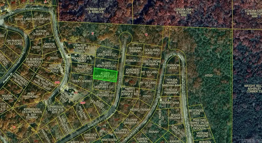 Lot 13 Arapahoe Drive, Holiday Island, AR 72631 - Image #2