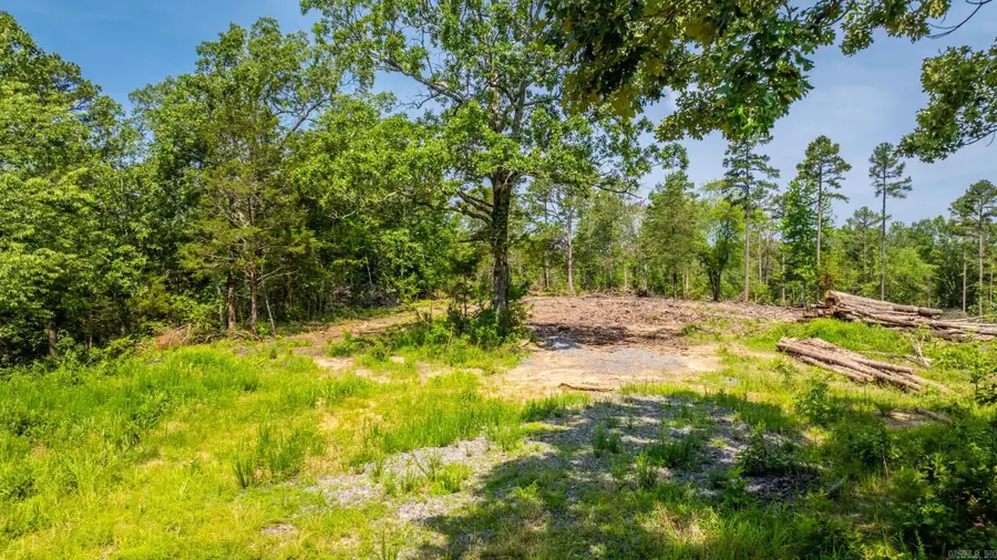Tract 5 Harmony Mountain Road, Clinton, AR 72031 - #3
