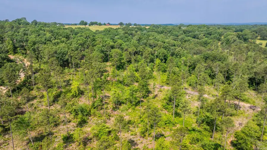 Tract 2 Harmony Mountain Road, Clinton, AR 72031 - #3