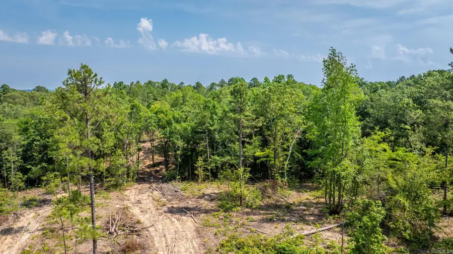 Tract 6 Harmony Mountain Road, Clinton, AR 72031 - #3