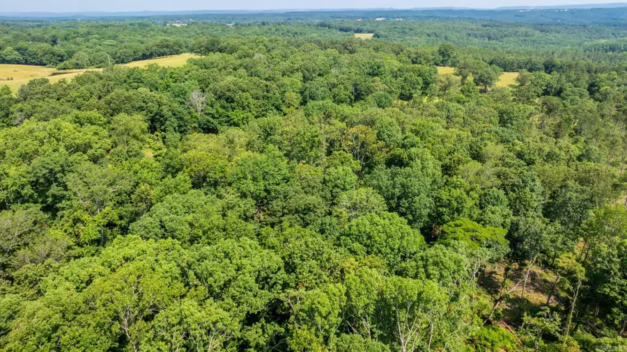 Tract 1 Harmony Mountain Road, Clinton, AR 72031 - #3