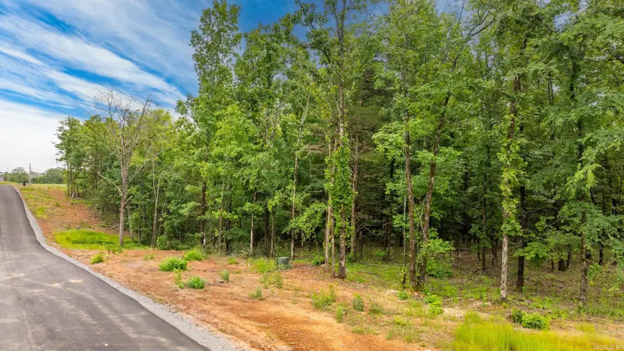 19 Sky Eagle Drive, Greenbrier, AR 72058 - #2