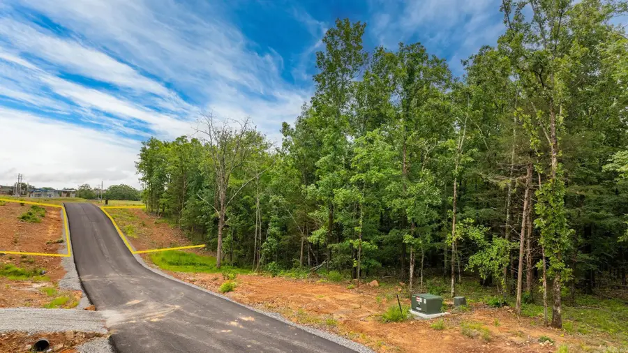 19 Sky Eagle Drive, Greenbrier, AR 72058 - #3