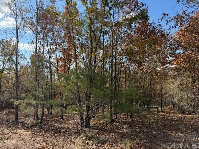 10 Summer Tyme Drive, Greenbrier, AR 72058 - #2