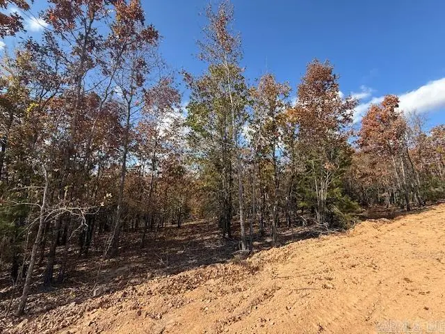 12 Summer Tyme Drive, Greenbrier, AR 72058 - #2