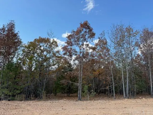 12 Summer Tyme Drive, Greenbrier, AR 72058 - #3