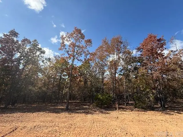 14 Summer Tyme Drive, Greenbrier, AR 72058 - #2